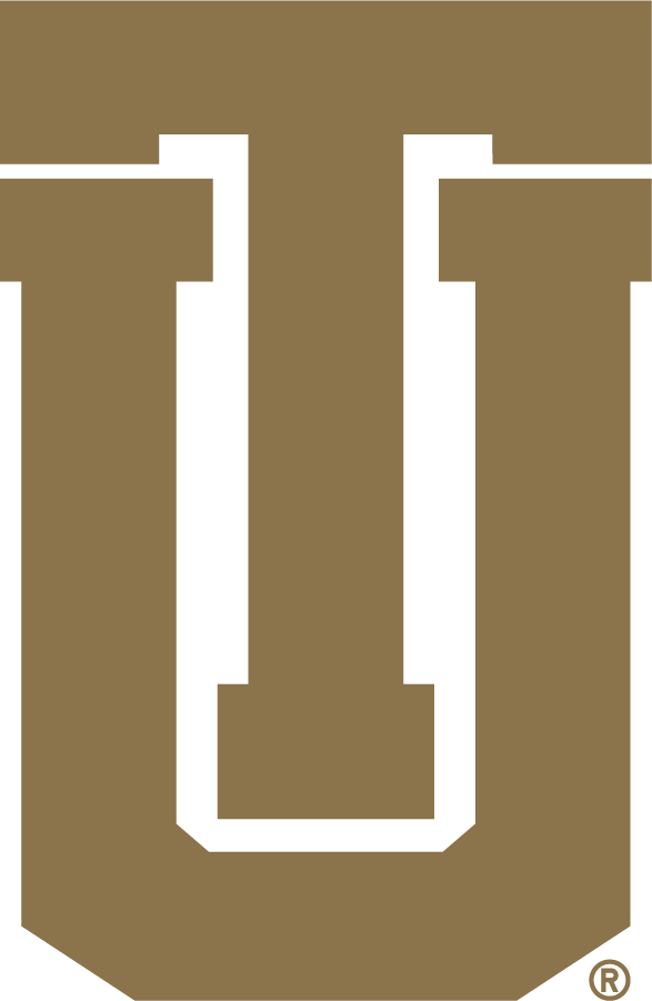 Tulsa Golden Hurricane 1992-2014 Secondary Logo diy iron on heat transfer